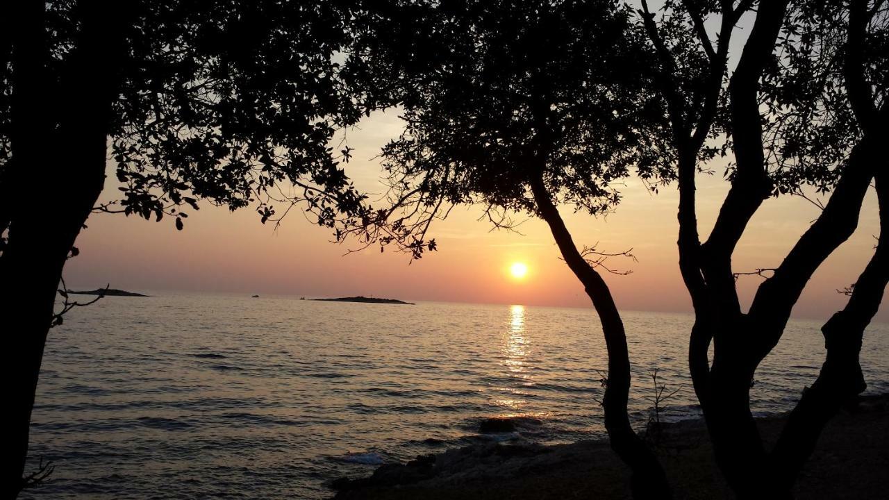Maestral * Porec